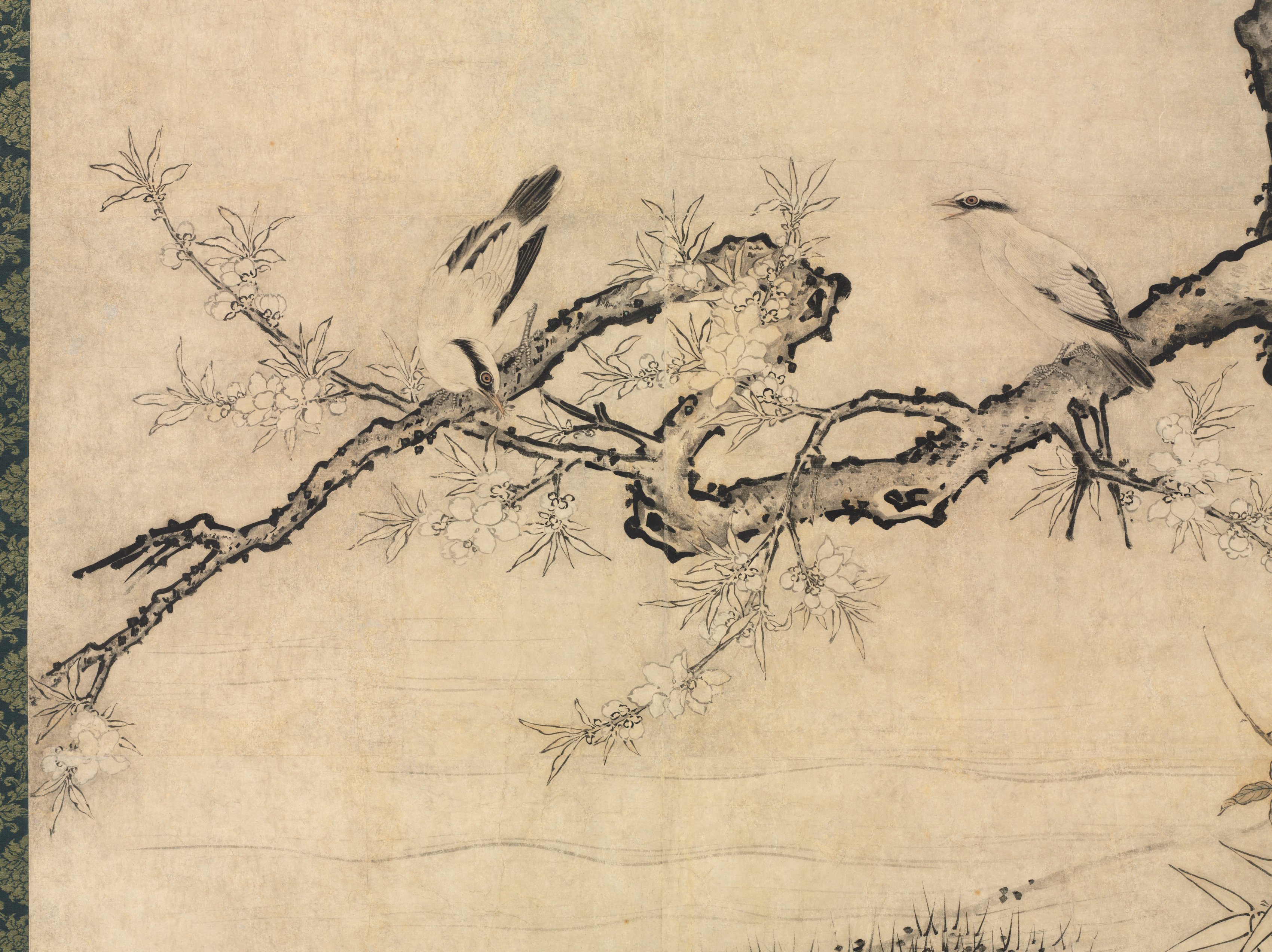 アート・デザイン・音楽 PHYSIOGNOMIA ARBORUM アート・デザイン・音楽 PHYSIOGNOMIA ARBORUM アート・デザイン