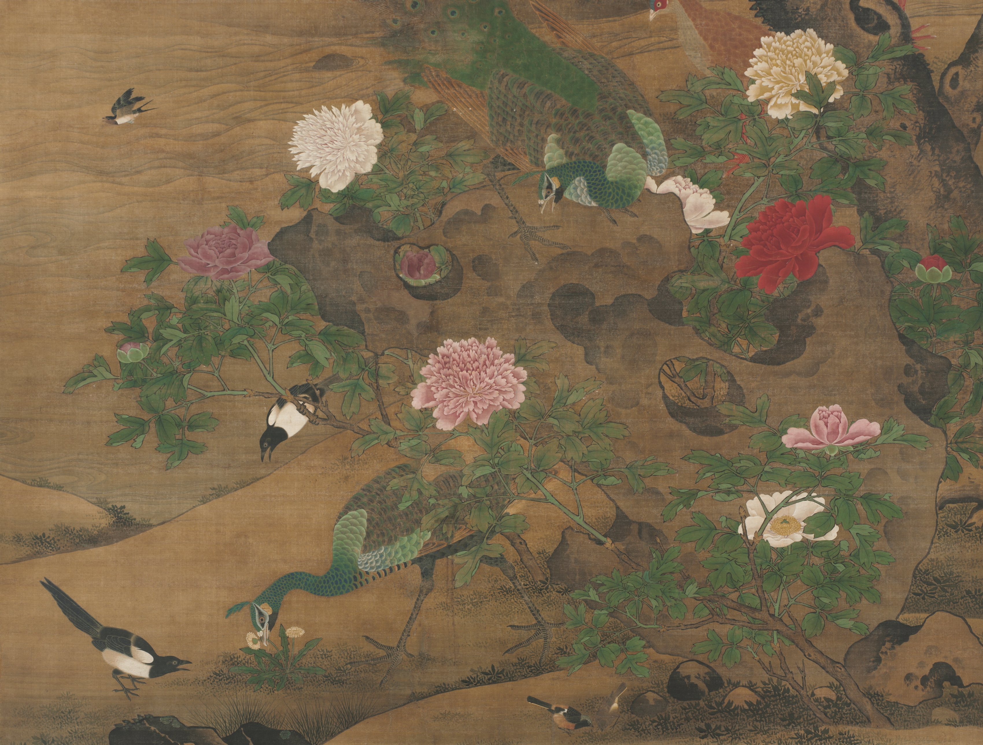 100年前の古書　希少　1923年　Birds and their young 100年前の古書 希少 1923年 Birds and their young 100年前の