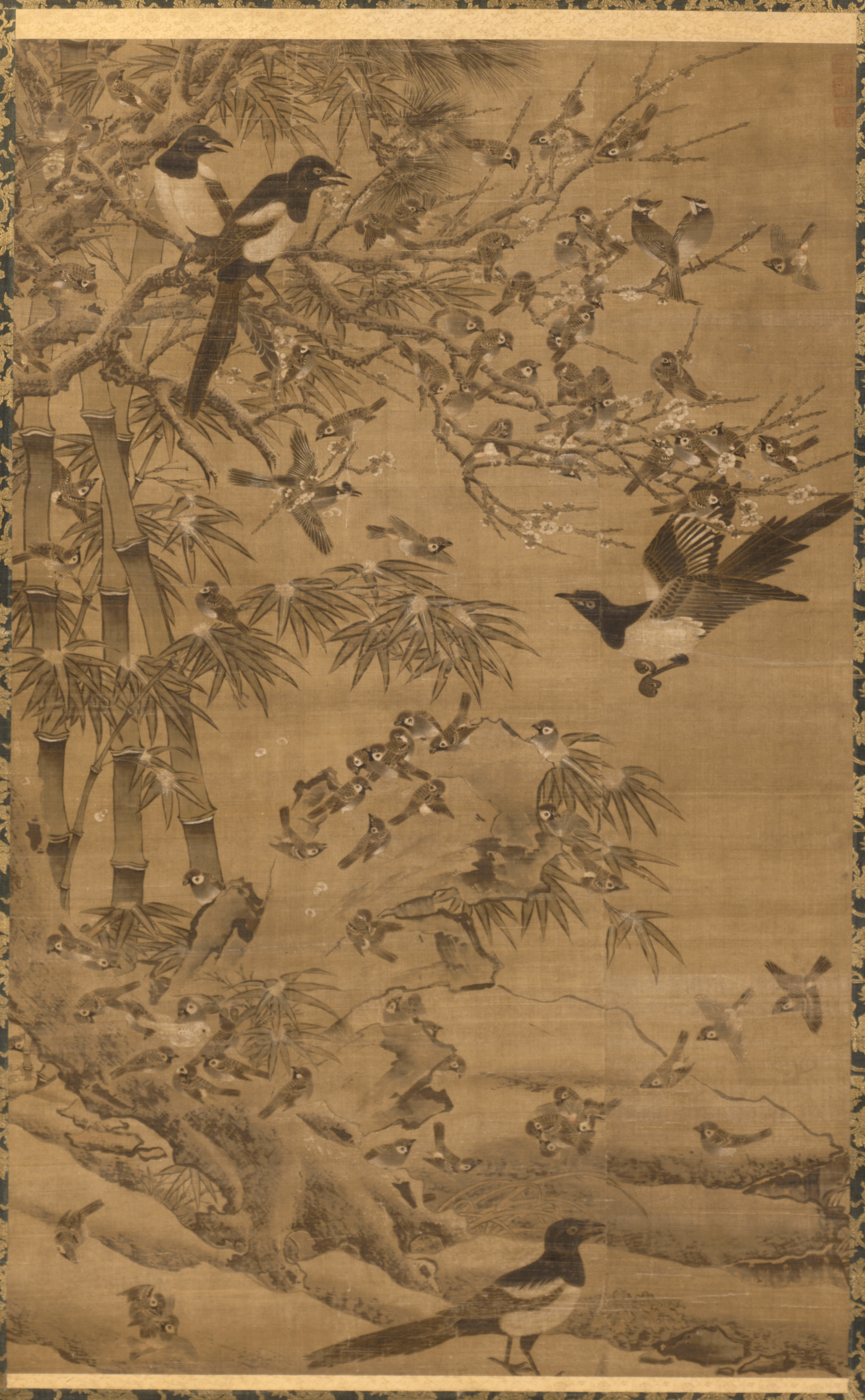 100年前の古書　希少　1923年　Birds and their young Birds of the World As painted By 19th Century Artists By Hiroshi