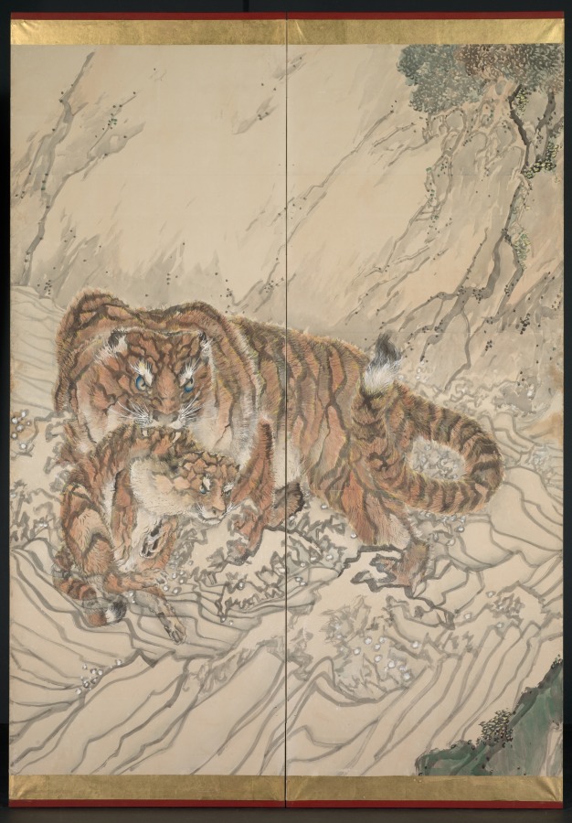 2024Family with Tigers大山3 Three fierce sumatran tiger cubs born! 🐯 | LOVE THIS! - YouTube