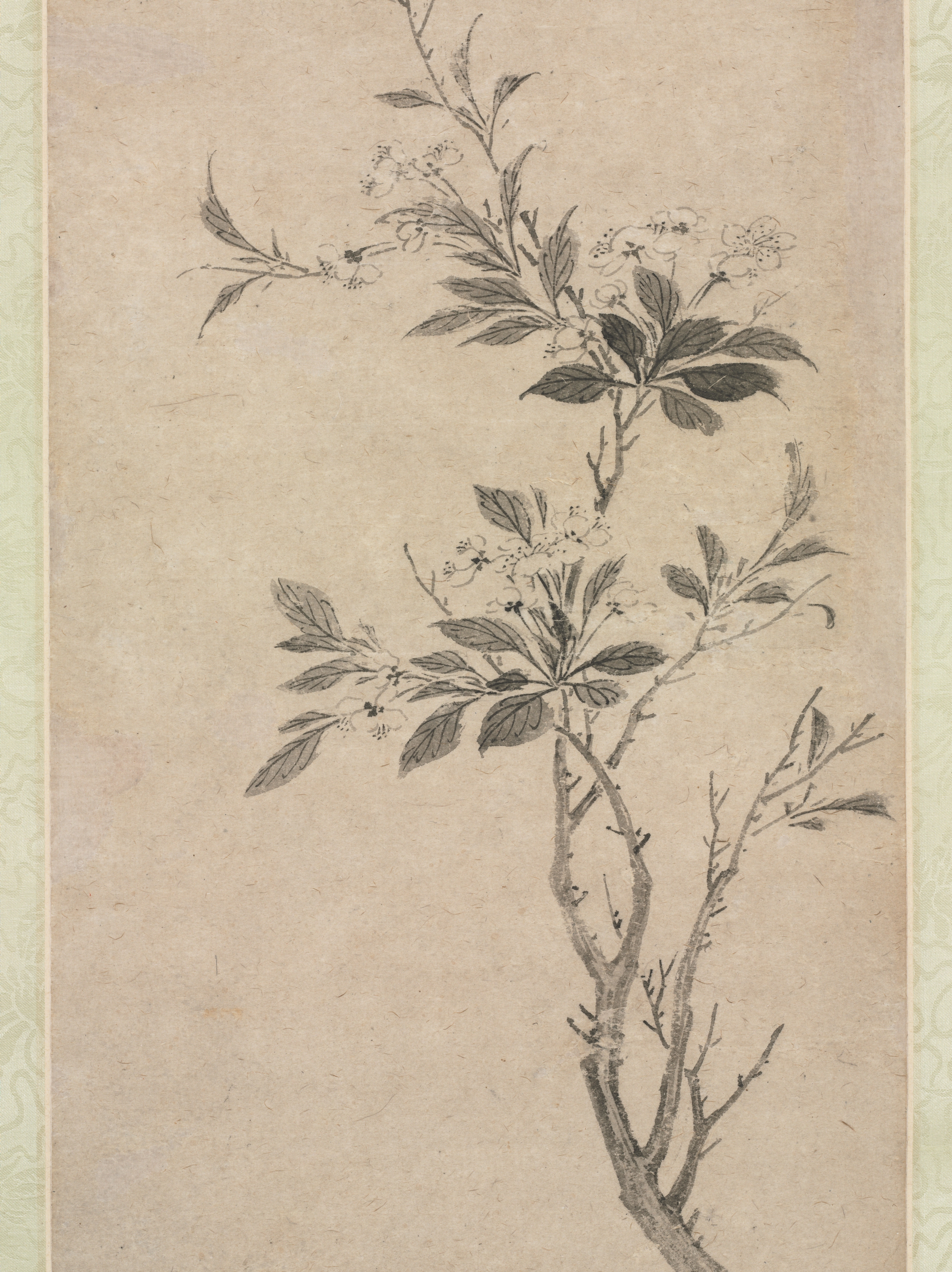Flowering Crab Apple | Cleveland Museum of Art Flowering Crab Apple | Cleveland Museum of Art