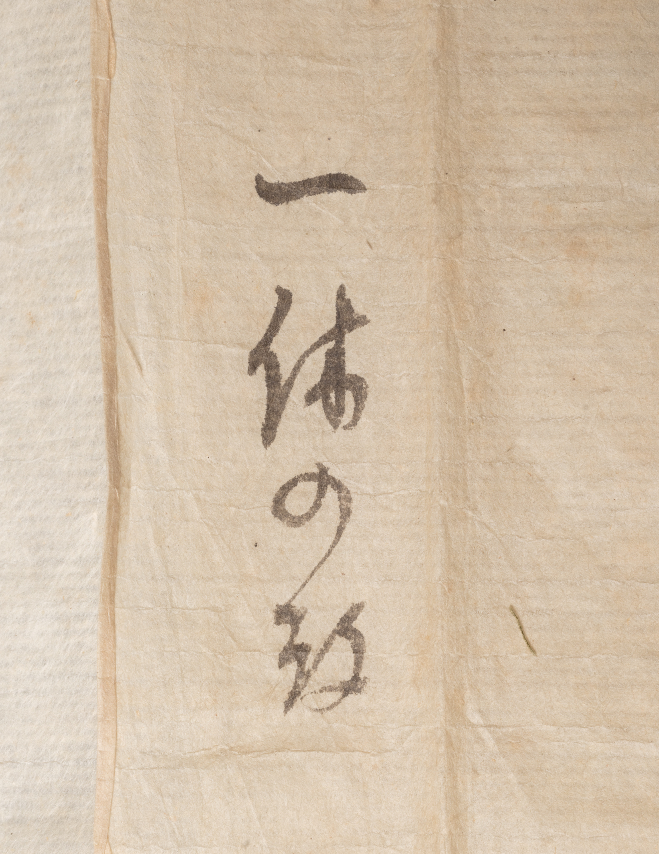 「Calligraphy 書体の源泉」マイクル・ガリック 著 Calligraphy 書体の源泉」マイクル・ガリック 著